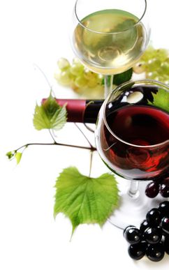 Cave à vin rouge, blanc, rosé Cave à vin rouge, blanc, rosé